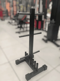 Expositor Anilha Med 6 Pinos + 6 Barras - 300Kg